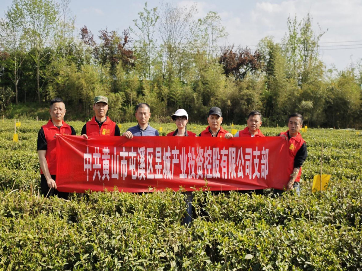 昱城產(chǎn)投公司黨支部開展“茶香潤初心，黨旗映茶園”主題黨日活動